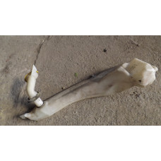  Бачок омывателя к  Renault  Megane,  1998