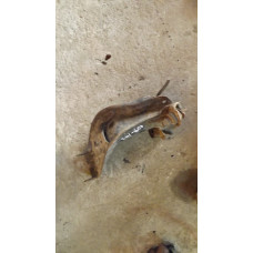  Рычаг передний левый к  Nissan  Primera,  1997